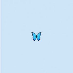 Meet your Posher, Phoebe